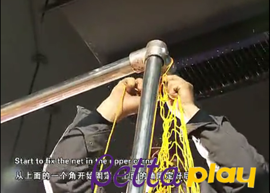 图片37